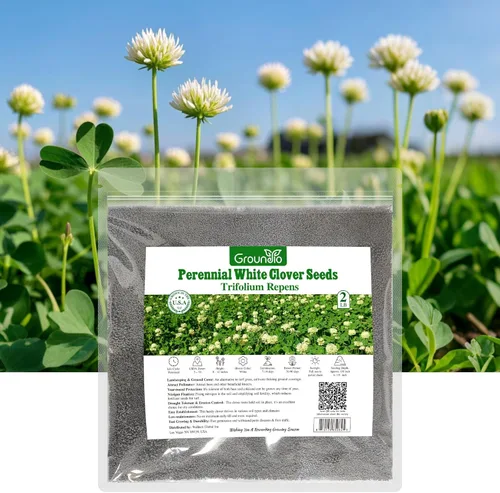 Miniatura 9 de Groundio White Clover Seeds for Lawn Alternative