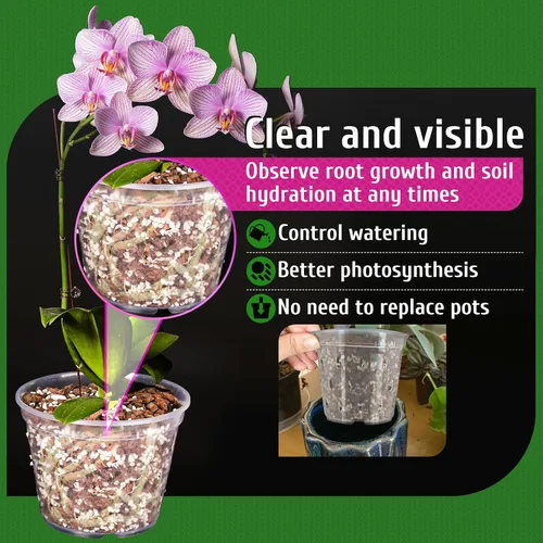 Miniatura 4 de Maceta para Orquídeas, Paquete de 6 Macetas para Orquídeas con Agujeros, Maceteros de Flores de Plástico Transparente de 5.5 Pulgadas
