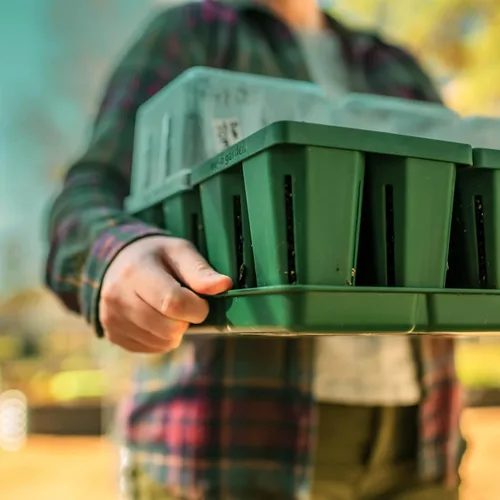 Miniatura 7 de Vego garden Seedling Suite Products, paquete de 8 bandejas de plántulas jumbo con tapas de bandeja de plántulas y bandejas de riego inferiores de 10