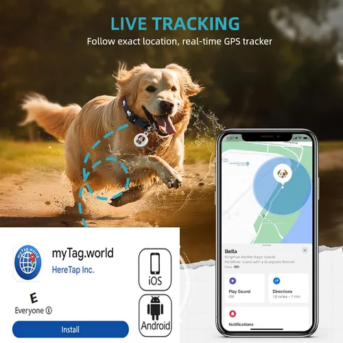 Miniatura 3 de Paquete de 2 rastreadores GPS para vehículos, dispositivo de seguimiento de automóvil oculto, dispositivo rastreador para vehículos, rastreador