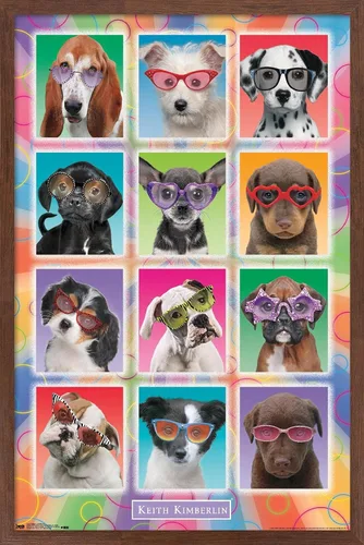 Miniatura 16 de Trends International Keith Kimberlin - Póster de pared con diseño de cachorros, gafas de sol, 14.725 x 22.375 pulgadas, versión enmarcada de madera