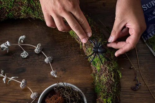 Miniatura 3 de SuperMoss (23309) Mezcla de musgo – Musgo decorativo de alta calidad para manualidades, terrarios, decoración de bodas y mesa, 80.75 pulgadas