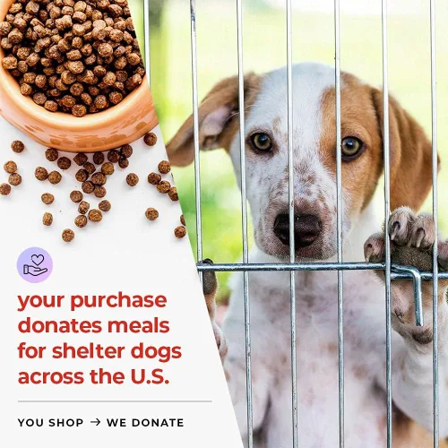 Miniatura 7 de iHeartDogs Caldo de huesos y colágeno para perros, caldo de huesos y hongos en polvo dorado para apoyo del sistema inmunológico, movilidad