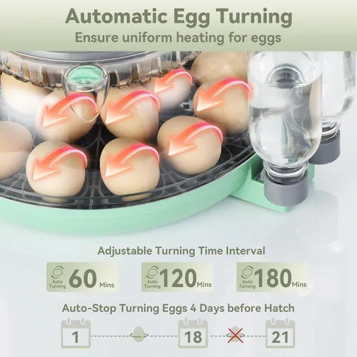 Miniatura 5 de Incubadora de 18 huevos con giro automático de huevos, unidad de eclosión con control digital y vela integrada, bandeja de huevos de 2 tamaños