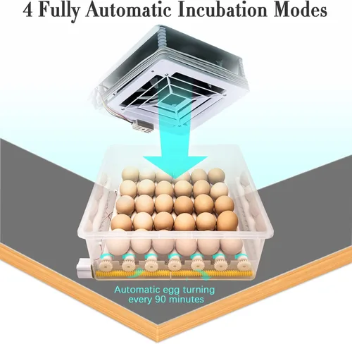 Miniatura 6 de Incubadoras para incubar huevos, incubadora de huevos con giro automático de huevos y control de humedad, incubadora de huevos para huevos