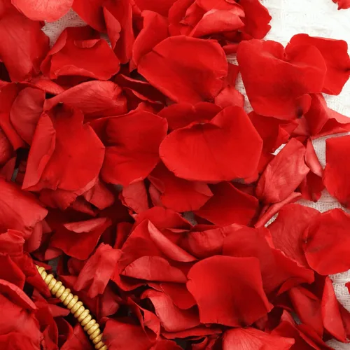 Miniatura 9 de 200 pétalos de rosa negros reales secos, pétalos de flores preservados de 1.75 onzas para regalos, decoración de fiesta de boda, niña de las flores