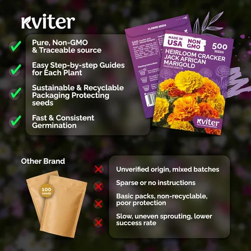 Miniatura 5 de KVITER 500 semillas de caléndula Cracker Jack (Tagetes Erecta) – Caléndula africana, flor gigante, semillas de reliquia sin OMG – Semillas de flores