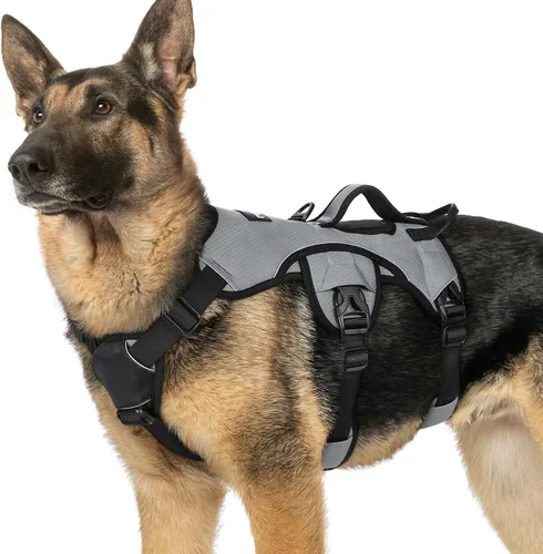 Miniatura 48 de rabbitgoo - Arnés para perro a prueba de fugas, arnés para mascotas acolchado suave de cuerpo completo, chaleco reflectante ajustable sin tirones