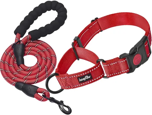 Miniatura 10 de haapaw Paquete de 2 collares de perro Martingale con hebilla de liberación rápida reflectantes, collares de entrenamiento para perros pequeños, Negro