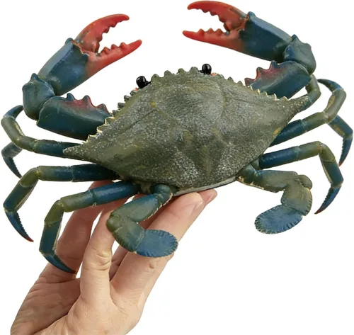 Miniatura 7 de SmilerSmile Juguetes educativos de animales marinos sólidos, simulación de tiburón oceánico, criatura marina, juguete para niños pequeños