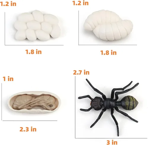 Miniatura 3 de Figuras del Ciclo de Vida de Animales Montessori con Tarjetas Flash, Juguetes de Figuritas de Animales Realistas, Juego Educativo de Emparejamiento