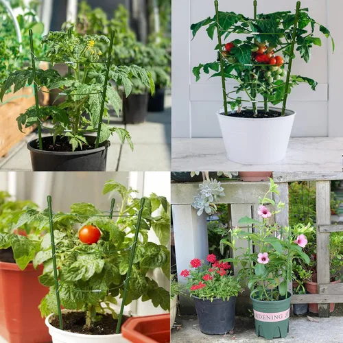 Miniatura 6 de Jaulas de tomate pequeñas de 18 pulgadas, paquete de 4 enrejados de jardín ajustables para plantas trepadoras de interior y exterior, estacas