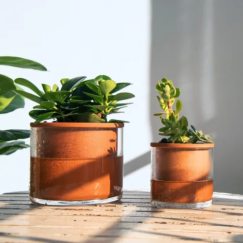 Miniatura 7 de Phoenix Vine Maceta de terracota de 4 pulgadas con autorriego para plantas, maceta cilíndrica de terracota de interior con jarrón de vidrio, juego