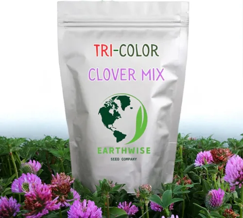Miniatura 2 de Earthwise Tri-Clover - Mezcla de semillas alternativas para césped, blanco holandés, carmesí y trébol rojo, fijación de nitrógeno, orgánica, de bajo