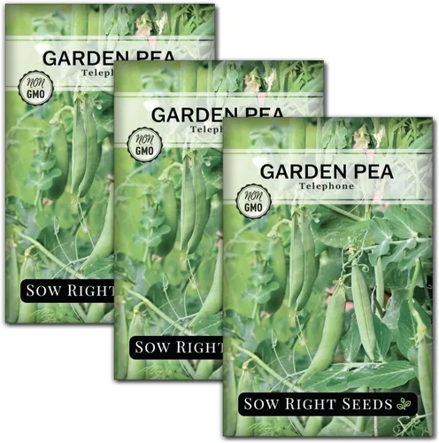 Miniatura 8 de Sow Right Seeds - Semillas de guisantes telefónicos para plantar - Paquete de reliquia sin OMG con instrucciones para cultivar un huerto doméstico
