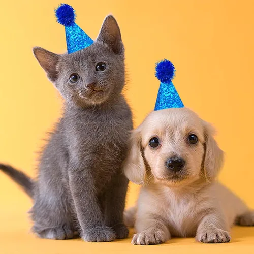 Miniatura 6 de PET SHOW 10 piezas de sombreros pequeños para perros pequeños, sombrero de fiesta de cumpleaños de gato, sombreros de conejo para vacaciones, boda