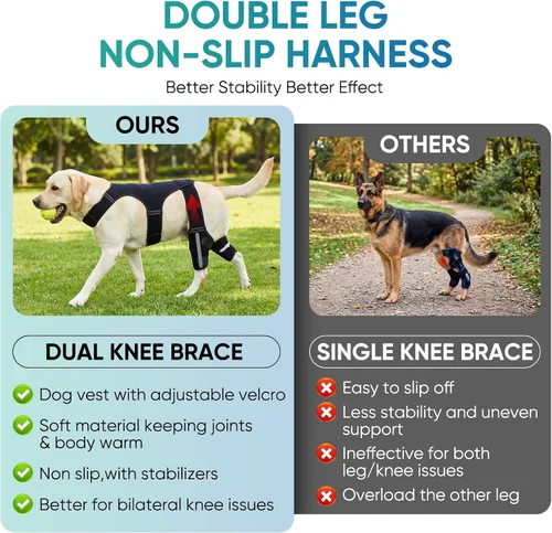 Miniatura 4 de Rodillera para perro para pierna trasera, pierna trasera, ACL, soporte ajustable para piernas de perro doble con estabilizadores, ayuda con desgarro