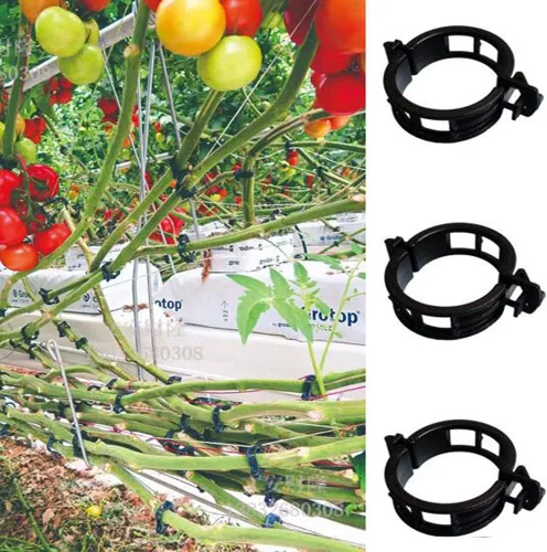 Miniatura 6 de 100 clips de soporte para plantas de jardín, clips de tomate, lazos para plantas, clips de enrejado, clips de enrejado para plantas de vid de Negro