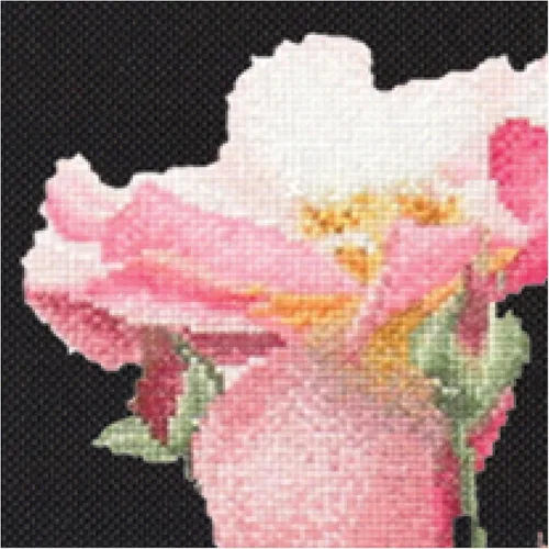 Miniatura 2 de Thea Gouverneur - Kit de punto de cruz con cuentas - Rosa Leersum - Aida Black - 18 unidades - Kit de bordado para adultos - Hilos de bordado DMC