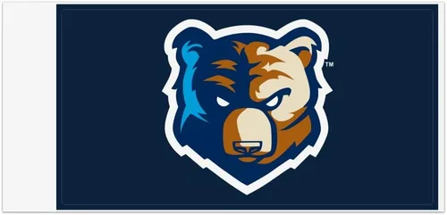 Bob Jones University - Imán de vinilo con logotipo primario para nevera de coche