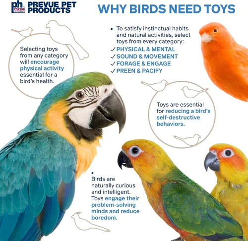 Miniatura 6 de Prevue Pet Products Sink 'n Seek Playfuls - Juguete para pájaros de forraje y participación, accesorios de jaula para aves pequeñas a medianas