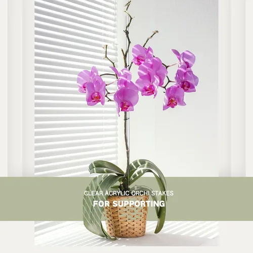 Miniatura 2 de Chunful 30 estacas acrílicas de 15.6 pulgadas para plantas de jardín, estacas de orquídeas transparentes para soporte en maceta, tomates, flores