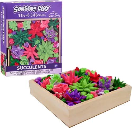 Tara Toys Suculentas de arcilla sensorial