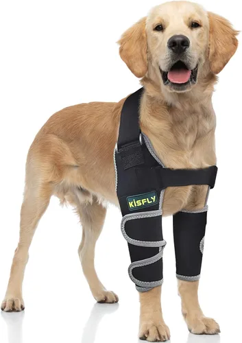 Miniatura 20 de Arnés para perros medianos, arnés de apoyo para la pierna trasera para asistencia de movilidad, ayuda a apoyar perros con problemas