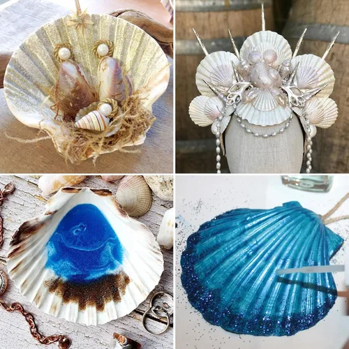 Miniatura 4 de QEQEKAKA 6 conchas de vieira grandes para hornear conchas marinas de 4.5 a 5 pulgadas para manualidades, conchas de vieira hawaianas blancas