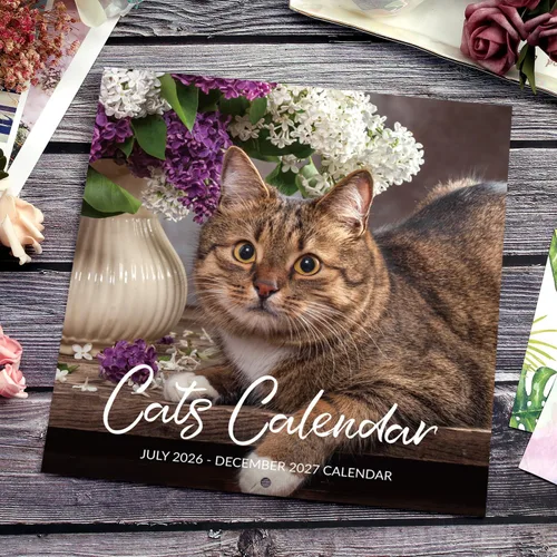 Miniatura 9 de Calendario 2026-2027 – Calendario de pared 2026-2027, julio de 2026 a diciembre de 2027, 12 x 24 pulgadas (abierto), calendario de gato de 18 meses