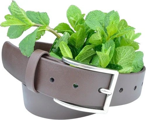 Miniatura 3 de Cinturones veganos para hombres, súper resistente, virtualmente indestructibles, cinturones de verdad (SLUG)