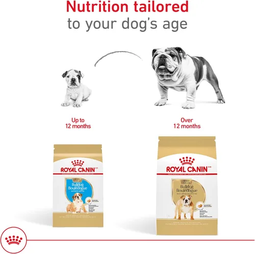 Miniatura 7 de Royal Canin Breed Health Nutrition Bulldog - Alimento seco para perros adultos, bolsa de 17 libras