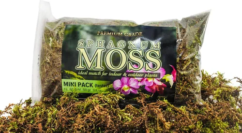 Musgo esfagnum verde orgánico para orquídeas, plantas de interior y exterior, secado para jardinería decorativa (paquete mini (probador) - 1 litro /