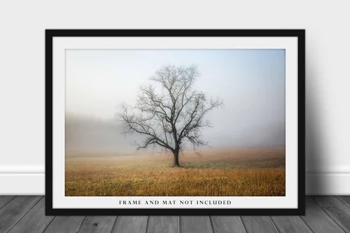 Miniatura 3 de Nature Photography Print (Not Framed) Picture of Tree Shrouded in Fog on Autumn Morning in Great Smoky Mountains Tennessee Appalachian Wall Art