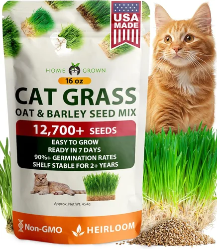 Miniatura 10 de HOME GROWN Mezcla de 3 semillas de hierba para gatos – Semillas de avena, alfalfa y hierba de gato sin OMG Hierba interior para gatos Verdes
