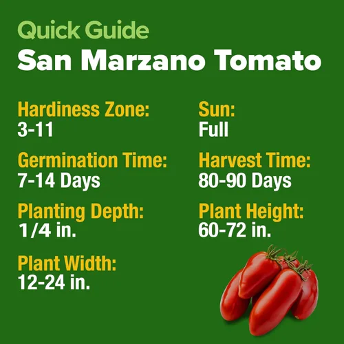 Miniatura 5 de HOME GROWN San Marzano - Semillas de tomate más de 132 semillas tradicionales sin OMG para plantar, alta germinación, pasta romana indeterminada