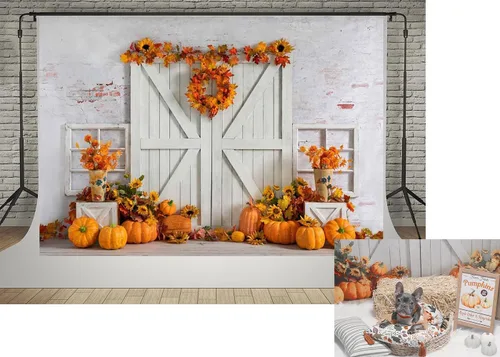 Kate Fondo de fotos de 7 x 5 pies con diseño de calabaza de Acción de Gracias, para cosecha, pared blanca, puerta de madera blanca, Halloween,