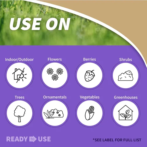 Miniatura 2 de Bonide Jabón insecticida, 32 onzas en aerosol listo para usar, control de insectos multiusos para jardinería orgánica en interiores y exteriores