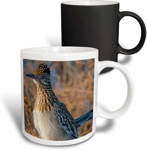 Miniatura 12 de 3dRose Roadrunner bird, Bosque del apache NWR, New Mexico-US32 CHA0044-Chuck Haney - Taza de dos tonos, 11 onzas, negro/blanco
