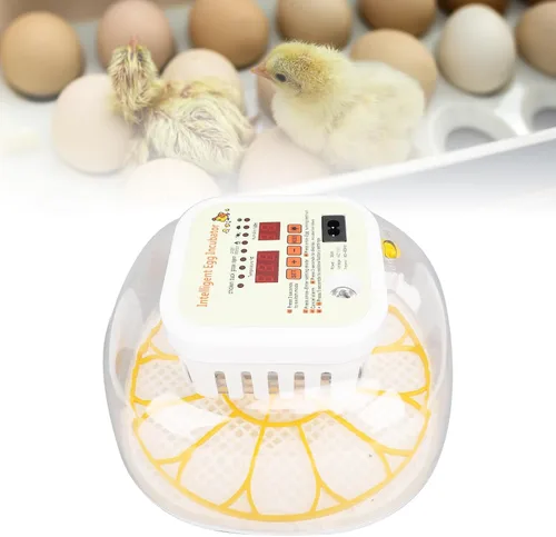 Miniatura 5 de Incubadora automática de 12 huevos con control de humedad con girador de huevos, incubadora ventilada para eclosionar huevos de pollo y codorniz, US
