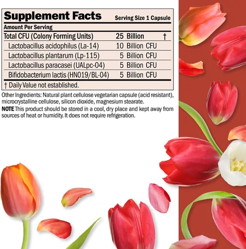 Miniatura 2 de ANDREW LESSMAN Ultimate Friendly Flora Probiotic 30 cápsulas – 25 mil millones de UFC, mezcla completa de cinco cepas probióticas, potente apoyo