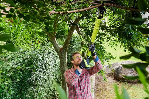 Miniatura 5 de Ryobi OLP1832BX 18 V ONE+ Podador inalámbrico de 0.75 m (solo el cuerpo)