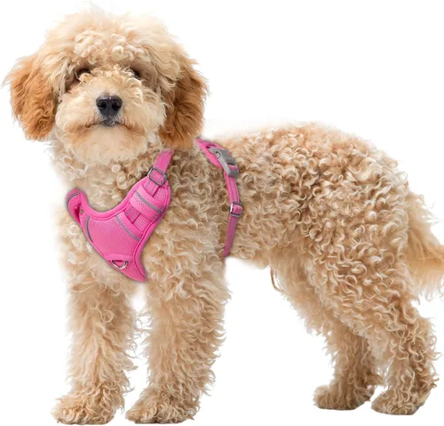 Miniatura 67 de BARKBAY Arnés para Perro Sin Tirones Talla Grande Arnés Reflectante para Perro con Clip Frontal y Asa de Control Fácil para Caminar Entrenar Correr