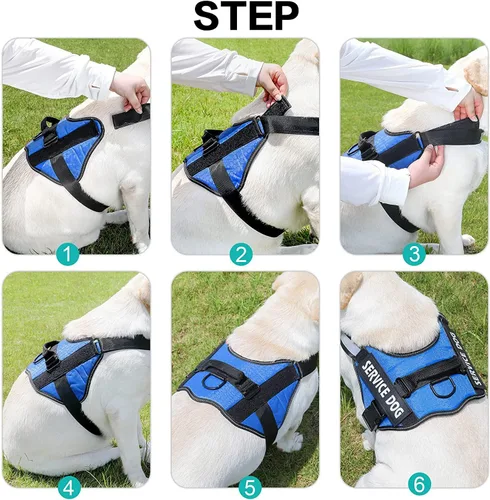 Miniatura 3 de Juego de correa de arnés personalizado sin tirones para perro con nombre y número de teléfono personalizados, chaleco resistente para mascotas