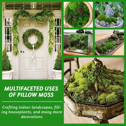 Miniatura 2 de TCYPUHL Cojín de musgo preservado verde oscuro de 1 pies cuadrados para plantas, manualidades de interior, arte de pared, bricolaje, terrarios