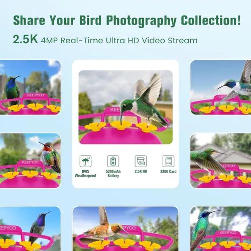 Miniatura 4 de Comedero de colibríes de 2.5K con cámara, comedero inteligente inalámbrico sin suscripción para pájaros para exteriores, cámara AI para ver video