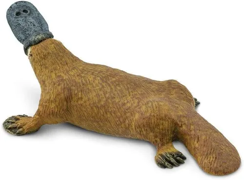 Miniatura 4 de Safari Ltd. Figura de ornitorrinco – Figura detallada de plástico de 4.75 pulgadas – Divertido juguete educativo para niños, niñas y niños a partir
