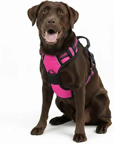 Miniatura 22 de Arnés para perro sin tirones, chaleco táctico verde XL, arnés extra grande de nailon 900D resistente con asas de fácil control, chaleco acolchado