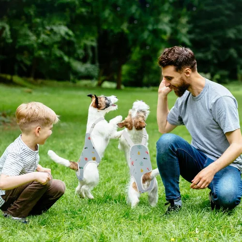 Miniatura 4 de QBLEEV Pañales para perras, bragas sanitarias lavables con tirantes ajustables, pañales reutilizables para perros machos y hembras en celo, bragas