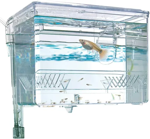 Miniatura 3 de Marina Hang-On Cría Caja, M